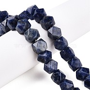 Natural Sodalite Beads Strands, Faceted Cube, 10~11x10~11x9~11mm, Hole: 0.9mm, about 10pcs/strand, 7.95''(20.2cm)(G-T138-41)