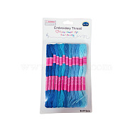 12 Skeins 12 Colors 6-Ply Polyester Embroidery Floss, Cross Stitch Threads, Gradient Color, Dodger Blue, 0.4mm, about 8.75 Yards(8m)/Skein(PW-WG76902-02)