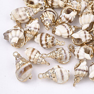 Electroplate Spiral Shell Pendants, with Iron Findings, Light Gold, Seashell Color, 18~25x10~15x8~12mm, Hole: 2mm(SSHEL-S262-20)