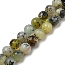 Natural Green Opal Beads Strands, Round, 6mm, Hole: 0.8mm, about 62pcs/strand, 15.51''(39.4cm)(G-R494-A11-02)