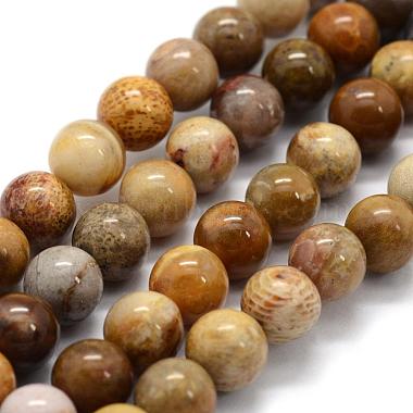 Natural Fossil Coral Beads Strands(G-G763-12-8mm)-4