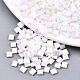 2-Hole Glass Seed Beads(X-SEED-S031-L-ST41-R)-1