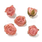 Brass Epoxy Resin Pendants, Inner Dried Flower Pendants, Rose Flower Charm, with Golden Loop, Pink, 19~27x21~27x19~28.5mm, Hole: 1.6mm(FIND-D043-01G-01)