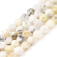 Natural White African Opal  Beads Strands, Star Cut Round Beads, Faceted, 8x7.5~8mm, Hole: 1mm, about 50~51pcs/strand, 15.55''~15.55''(39.5~40cm)(G-K382-A13-02)