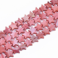 Freshwater Shell Beads Strands, Dyed, Star, Light Coral, 12x12.5x3mm, Hole: 1mm, about 35pcs/strand, 15.55 inch(39.5cm)(SHEL-S276-31D)