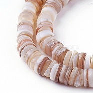 Natural Shell Beads Strands, Dyed, Disc, Antique White, 4.9~6x0.4~6mm, Hole: 1.4mm, about 15.94 inch~16.14 inch(40.5~41cm)(X-SSHEL-E571-49D)