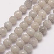 Natural Labradorite Bead Strands, Round, 8mm, Hole: 1mm, about 47pcs/strand, 15.5 inch(G-P259-05-8mm)