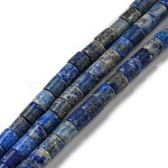 Natural Lapis Lazuli Beads Strands, Column, 4~4.3x4~4.6mm, Hole: 0.8mm, about 87pcs/strand, 15.12~15.20 inch(38.4~38.6cm)(G-C084-A01-01)