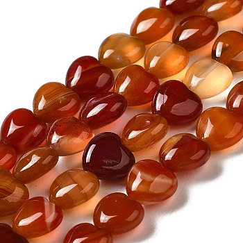 Natural Carnelian Beads Strands, Heart, 10x10.5~11x5mm, Hole: 1.2mm, about 40pcs/strand, 15.35''(39cm)