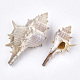Conch Shell Beads(SSHEL-S258-57)-2