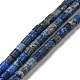 Natural Lapis Lazuli Beads Strands(G-C084-A01-01)-1