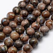 Natural Glaucophane Beads Strands, Round, 10mm, Hole: 1mm, about 38pcs/strand, 14.5 inch(G-K209-04A-10mm)