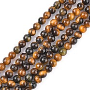 Natural Tiger Eye Beads Strands, Grade A, Round, Goldenrod, 3mm, Hole: 0.6~0.8mm, about 122pcs/strand, 15 inch(G-G099-3mm-4)