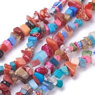 Freshwater Shell Beads Strands, with Synthetic Gemstone, Chip, Dyed, Colorful, 3~15x3~10mm, Hole: 0.8mm, about 15.9 inch(40.5cm)(BSHE-L039-04)