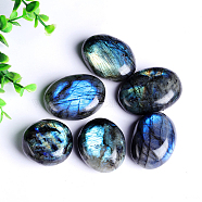 Natural Labradorite Cabochons, Oval, 20~30mm(G-PW0003-03A)