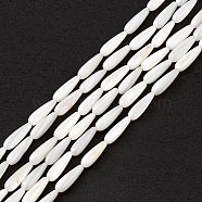 Natural Freshwater Shell Beads Strands, Teardrop, Seashell Color, 15x5mm, Hole: 0.8mm, about 26pcs/strand, 15.16''(38.5cm)(SHEL-M018-09)