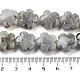 Natural Labradorite Beads Strands(G-F769-P01-01)-5