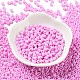 Baking Paint Glass Seed Beads(SEED-H002-I-A528)-2