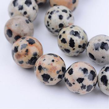 Natural Dalmatian Jasper Beads Strands, Round, 6~6.5mm, Hole: 1mm, about 58~61pcs/strand, 15.5 inch