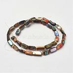 Natural Paua Shell Beads Strands, Rectangle, 8~11x5x3~4mm, Hole: 1mm, about 38pcs/strand, 15.7 inch(40cm)(G-D171-03)