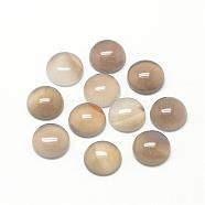Natural Gray Agate Cabochons, Half Round/Dome, 14x5~6mm(G-R416-14mm-15)