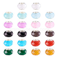 Pet 110Pcs 11 Colors Resin European Beads, Large Hole Beads, with Silver Tone Brass Double Cores, Faceted, Rondelle, Mixed Color, 14x9mm, Hole: 5mm, 10pcs/color(RPDL-MP0001-01)