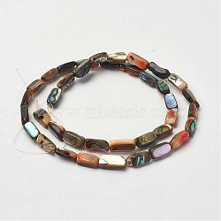 Natural Paua Shell Beads Strands, Rectangle, 8~11x5x3~4mm, Hole: 1mm, about 38pcs/strand, 15.7 inch(40cm)(G-D171-03)