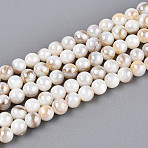 AB Color Natural Freshwater Shell Beads Strands, Round, Seashell Color, 3mm, Hole: 0.4mm, about 116~118pcs/strand, 14.96~15.16''(38~38.5cm)(BSHE-T014-40D)