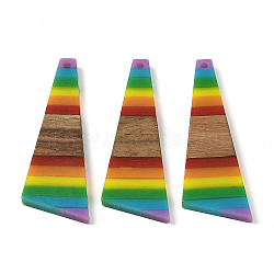 Pride Rainbow Theme Resin & Walnut Wood Pendants, Triangle, Colorful, 57x18.5x3.5mm, Hole: 2mm(WOOD-K012-08A)