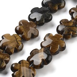 Natural Tiger Eye Beads Strands, Flower, 16x16x6mm, Hole: 1.4mm, about 25pcs/strand, 14.57~14.96 inch(37~38cm)(G-F769-H01-01)