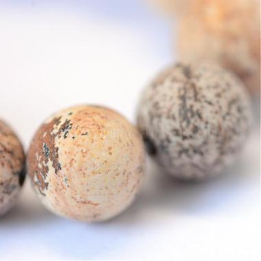 Frosted Natural Picture Jasper Round Bead Strands(G-E334-4mm-26)-4