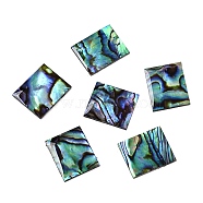 Natural Paua Shell Rectangle Cabochons, with Acrylic Back, 15.5x13x1.5mm(SSHEL-T017-11)