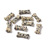 Natural Dalmatian Jasper Dog Bone Shape Sculptures, Reiki Energy Stone for Dog Pet Lover, Home Display Decoration, 10~11.5x23~25x5~7mm(DJEW-G033-01A-10)