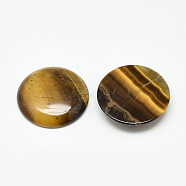 Natural Tiger Eye Cabochons, Dome/Half Round, 25x6~7mm(G-Q957-03B-25mm)