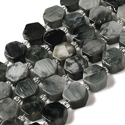 Natural Eagle Eye Stone Beads Strands, Hexagon, with Seed Beads, 8.5~9x8.5~10x4~5mm, Hole: 1mm, about 17~18pcs/strand, 7.48''(19cm)(G-P534-A14-01)