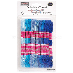 12 Skeins 6-Ply Polycotton(Polyester Cotton) Embroidery Floss, Cross Stitch Threads, Gradient Color, Blue, 0.8mm(DIY-CY0002-94D)