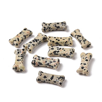 Natural Dalmatian Jasper Dog Bone Shape Sculptures, Reiki Energy Stone for Dog Pet Lover, Home Display Decoration, 10~11.5x23~25x5~7mm
