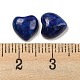 Natural Lapis Lazuli Cabochons(G-H309-01-01)-3