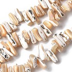 Dyed Natural Trochus Shell Beads Strands, Nuggets, BurlyWood, 9~21x5~7x6~8mm, Hole: 1.2mm, about 54~67pcs/strand, 14.76~15.24 inch(37.5~38.7cm)(SSHEL-C013-09K)