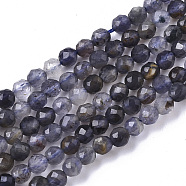 Natural Iolite/Cordierite/Dichroite Beads Strands, Faceted, Round, 3mm, Hole: 0.6mm, about 120pcs/Strand, 15.35 inch(39cm)(G-R460-021)
