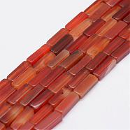Natural Carnelian Beads Strands, Cuboid, Dyed, 13x5x5mm, Hole: 1mm, about 29pcs/Strand, 15.3 inch(39cm)(G-E342-12)