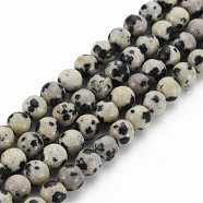 Natural Dalmatian Jasper Bead Strands, Round, 4~5mm, Hole: 1mm, about 83~84pcs/strand, 14.96 inch~15.16 inch(38~38.5cm)(G-R345-4mm-51-01)