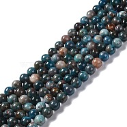 Natural Apatite Beads Strands, Round, 8mm, Hole: 1mm, about 50pcs/strand, 15.35''(39cm)(G-H287-01A)
