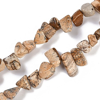 Natural Picture Jasper Nuggets Beads Strands, 7.5~11.5x9~13x4~6.5mm, Hole: 0.8~1mm, about 62~68pcs/strand, 14.96~15.55''(38~39.5cm)