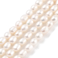 Natural Cultured Freshwater Pearl Beads Strands, Rice, Grade 5A, Snow, 3~3.5mm, Hole: 0.5mm, about 42pcs/strand, 7.09''(18cm)(PEAR-P062-03B)