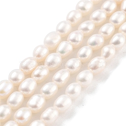 Natural Cultured Freshwater Pearl Beads Strands, Rice, Grade 5A, Snow, 3~3.5mm, Hole: 0.5mm, about 42pcs/strand, 7.09''(18cm)(PEAR-P062-03B)