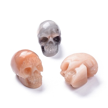 Halloween Natural Red Aventurine Home Decorations, Skull, 38~38.5x32~32.5x49~50mm
