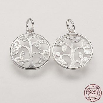 925 Sterling Silver Pendants, Flat Round with Tree of Life Tree, Silver, 16x14x2mm, Hole: 3mm