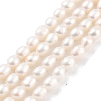 Natural Cultured Freshwater Pearl Beads Strands, Rice, Grade 5A, Snow, 3~3.5mm, Hole: 0.5mm, about 42pcs/strand, 7.09''(18cm)