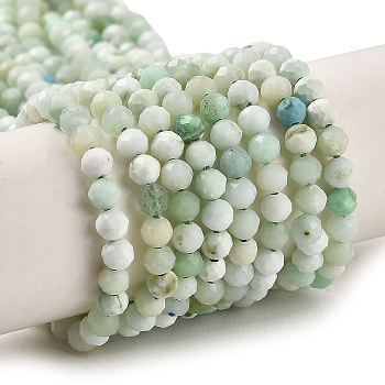 Natural Green Opal Beads Strands, Faceted, Round, 3mm, Hole: 0.6mm, about 122~124pcs/strand, 15.35''(39~39.5cm)